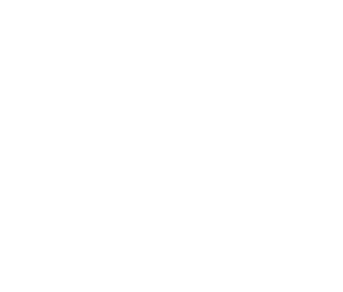logo millenet stiftung